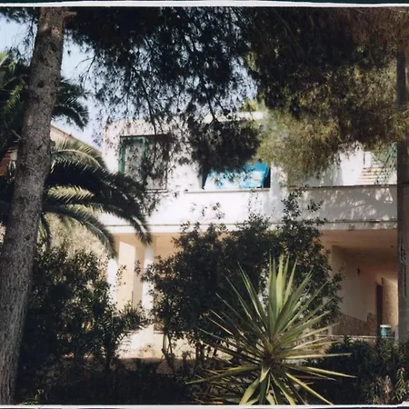 Le Macchie Di Nonno Emilio